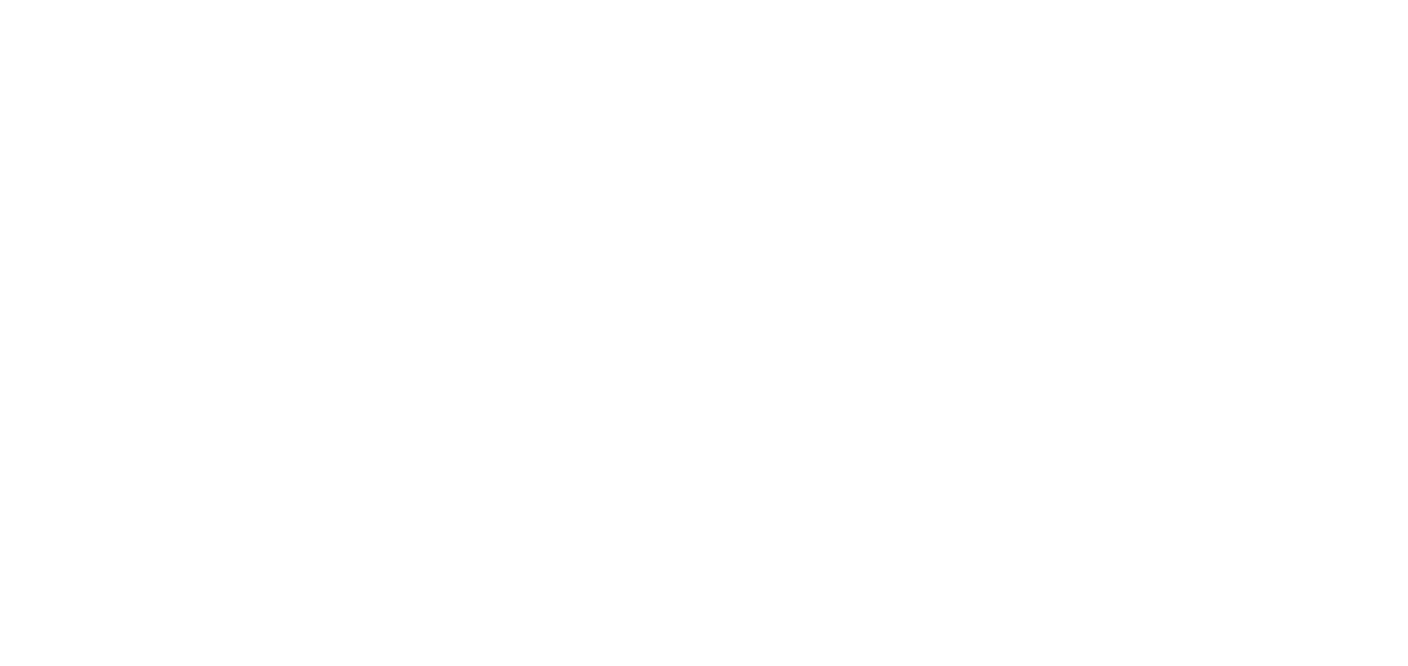 classical concerts house of strauss logo