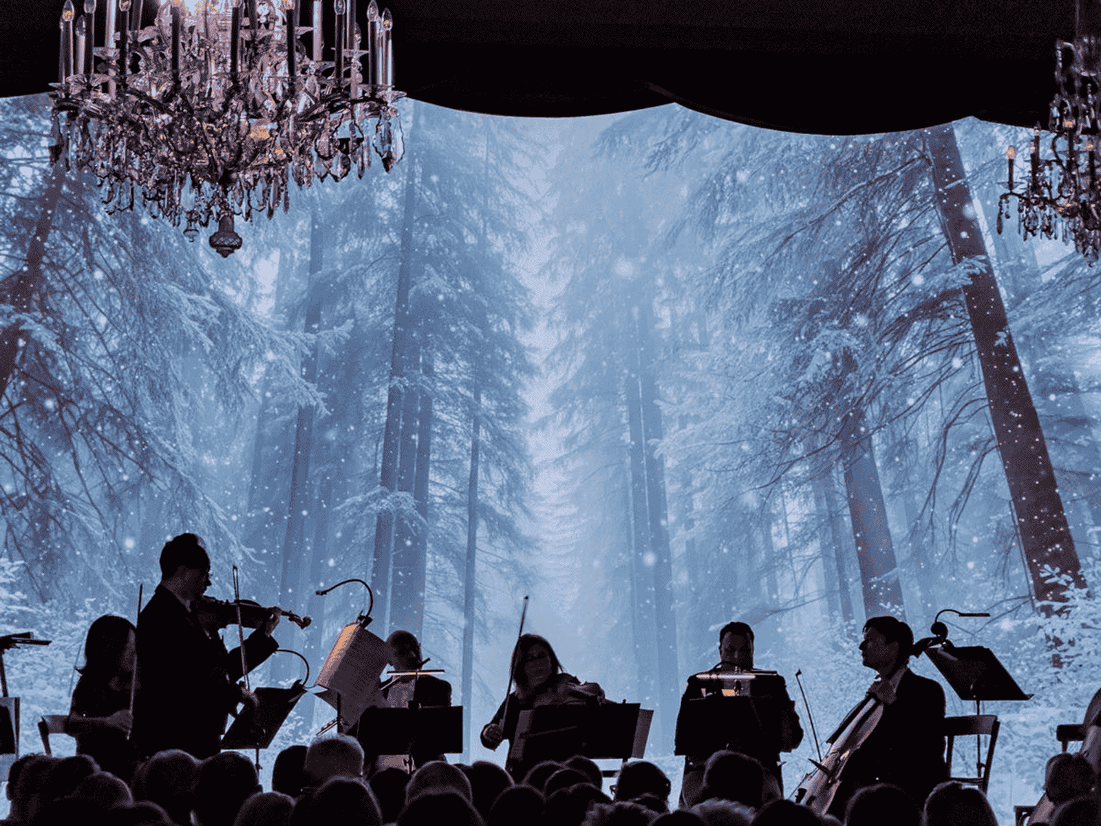 Design ohne Titel (28)